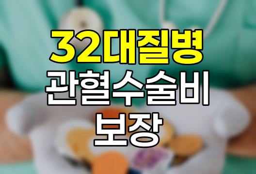 메리츠화재 32대질병관혈수술비, 심층 분석과 선택 가이드