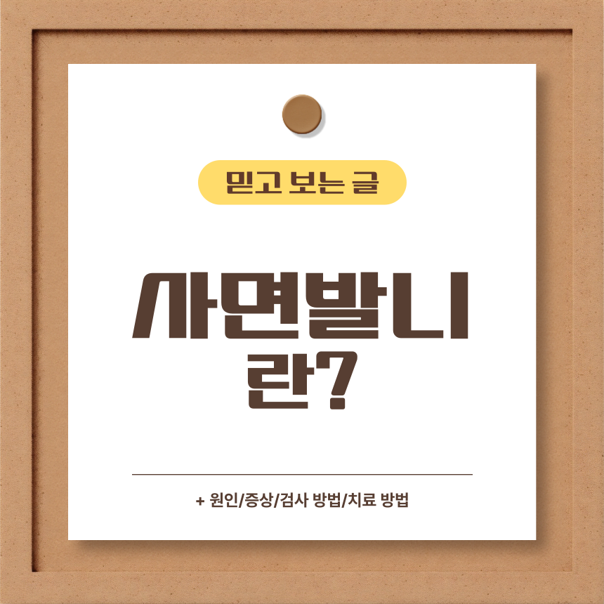  사면발니 란?