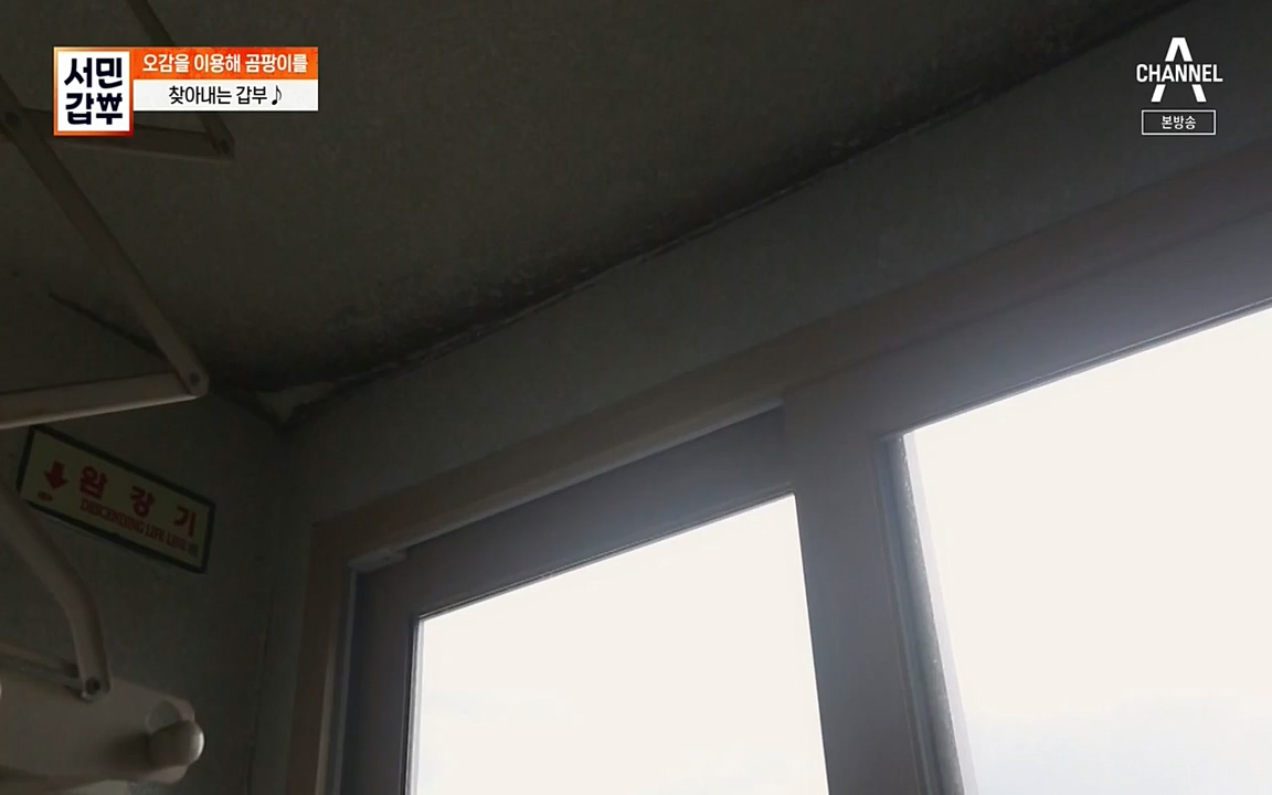 서민 갑부.E393.220724p-NEXT.mp4_20220724_142744.618.jpg