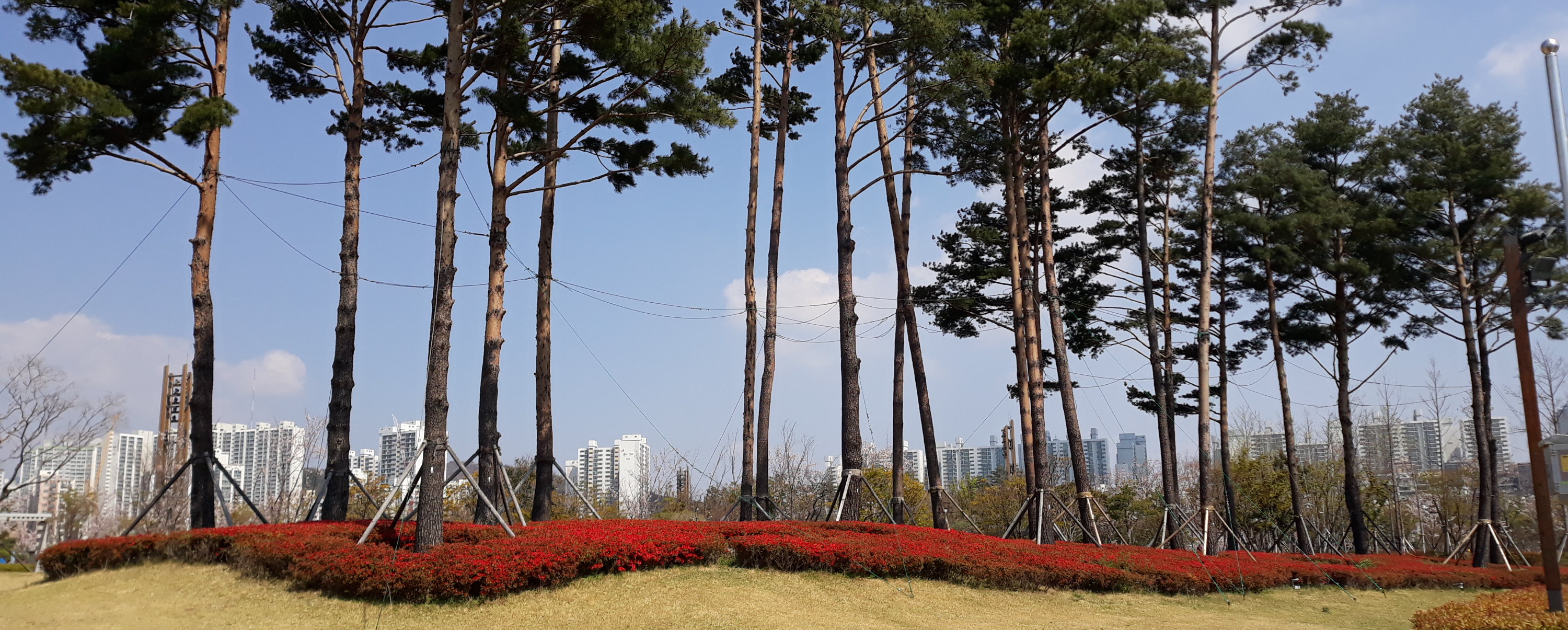리에이즈서비스 이미지