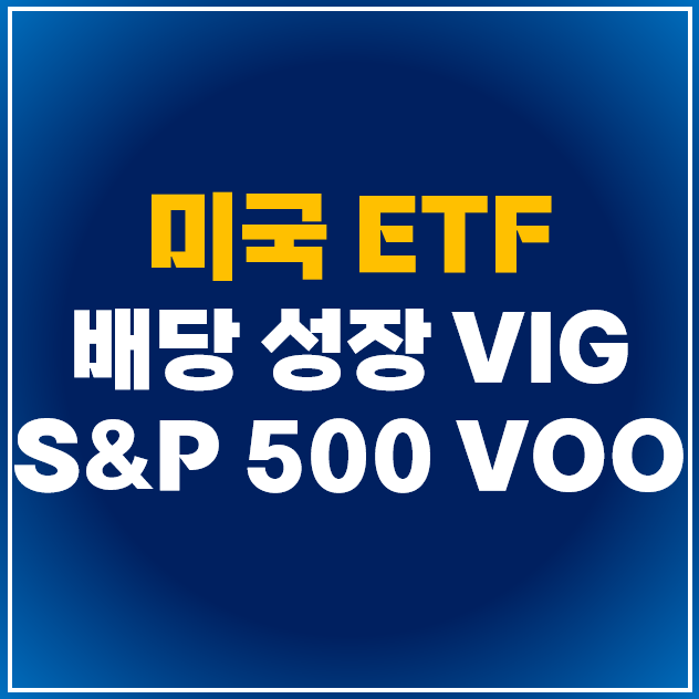  뱅가드가 운용하는 미국 ETF VIG VOO 비교