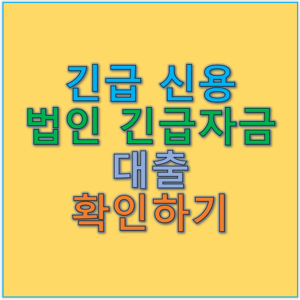 긴급 신용 대출과 법인 긴급 자금 대출 개인과 법인을 위한 맞춤 솔루션