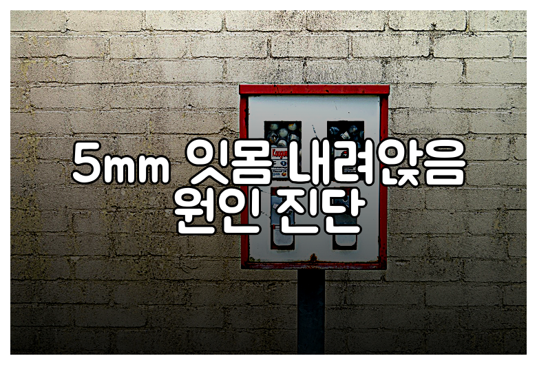 5mm 잇몸 내려앉음 원인 진단