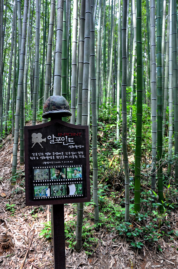죽녹원7