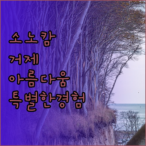 거제의 아름다움이 담긴 소노캄 거제.
