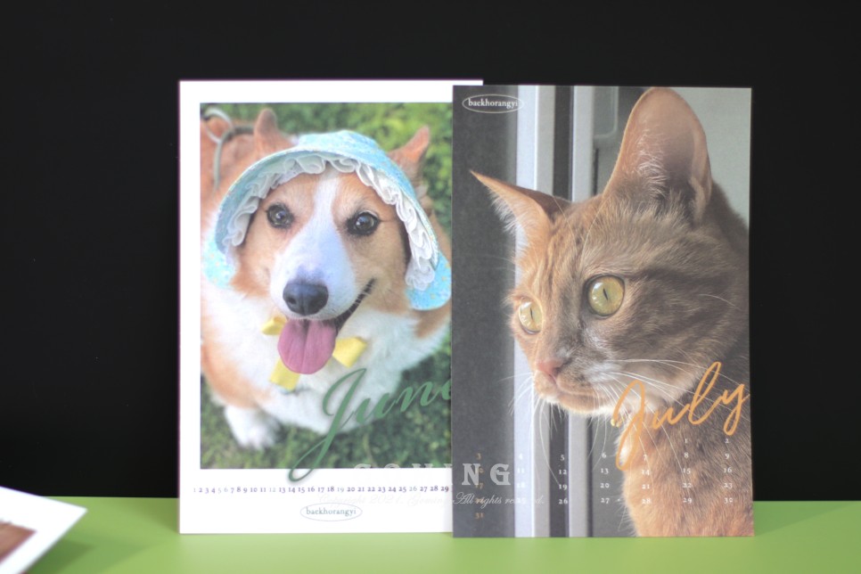 백호랑이 주문, 이웃집의 죽도록 사랑해!!!! 12