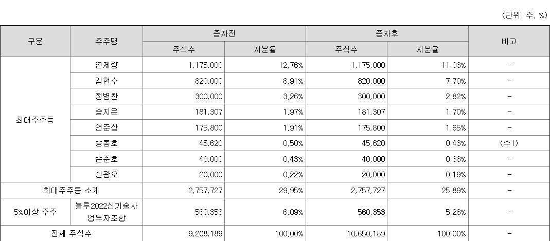 블루엠텍 최대주주