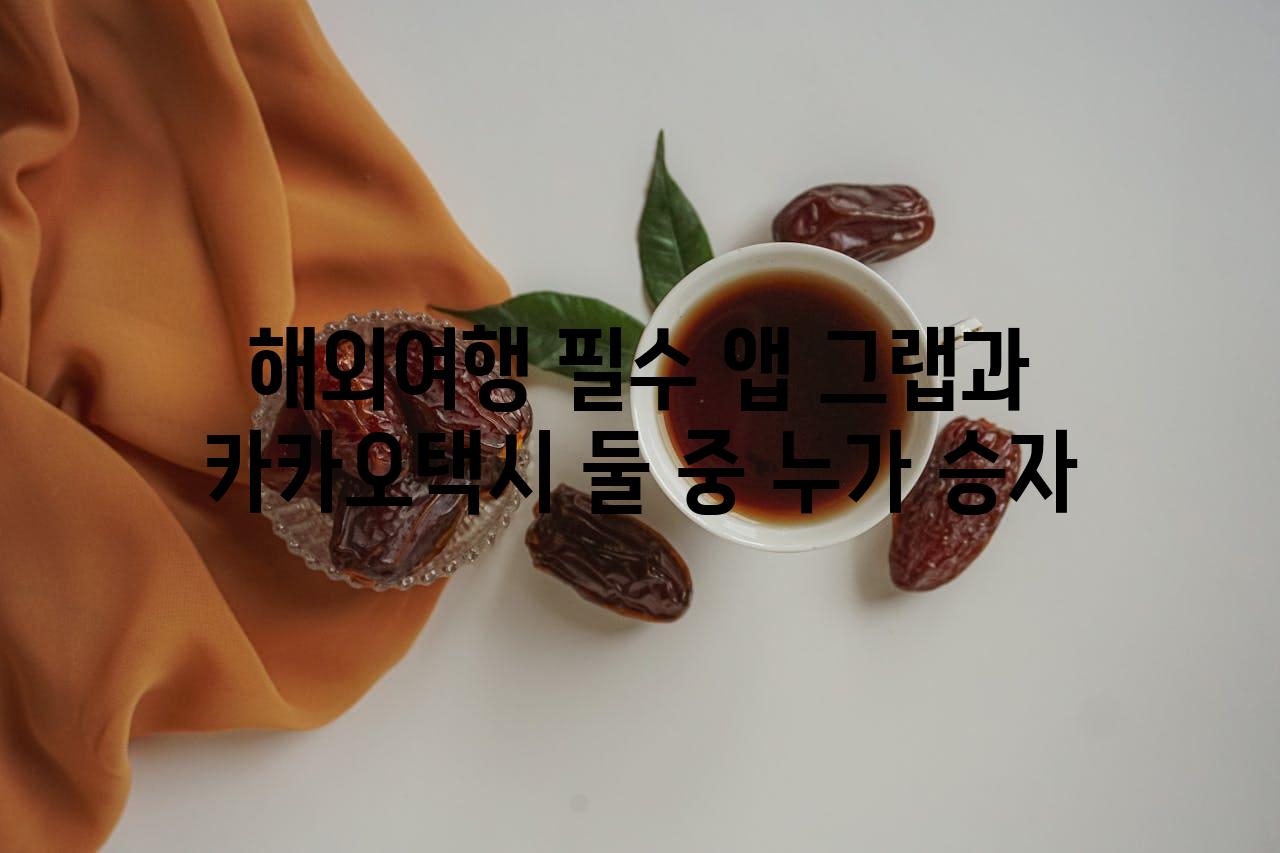 해외여행 필수 앱 그랩과 카카오택시 둘 중 누가 승자