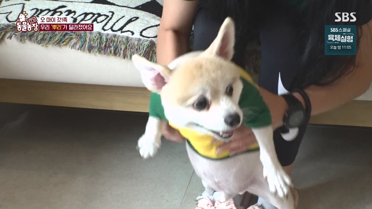 TV 동물농장.E1140.231009p-NEXT.mp4_20231008_174816.099.jpg