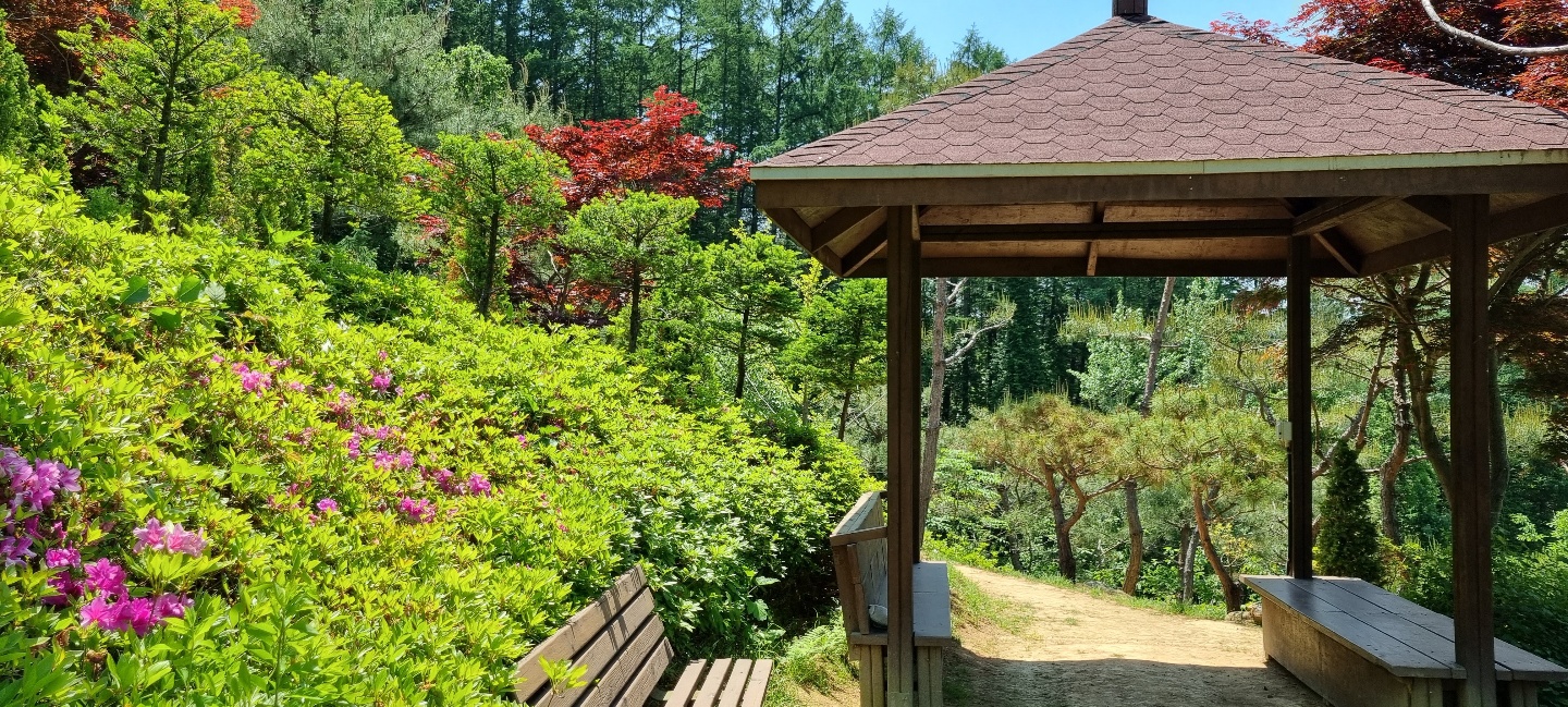 천봉 이미지