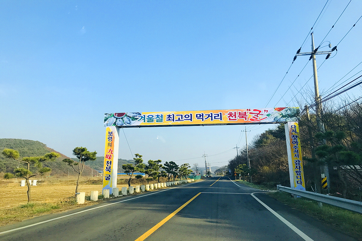 보령 천북 굴 축제