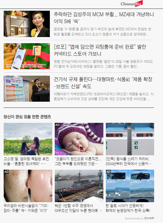 조선일보 광고 형식