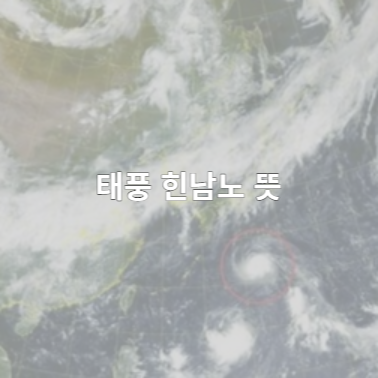  태풍 힌남노 뜻 (일본 오키나와 피해)