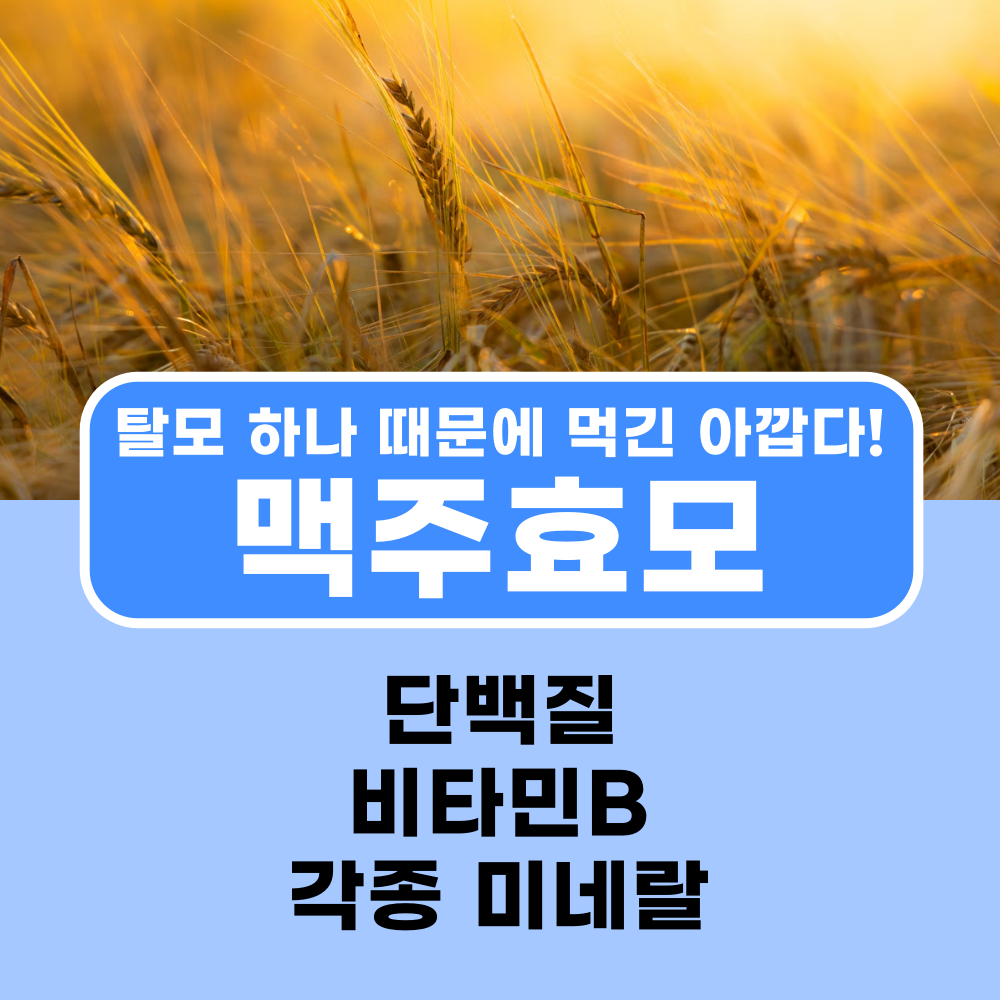  맥주효모, 탈모 외 진짜 효능과 세계 판매 탑3 직구 영양제 비교 추천, 파우더 타블렛 비교