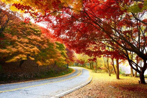 경기도 가평