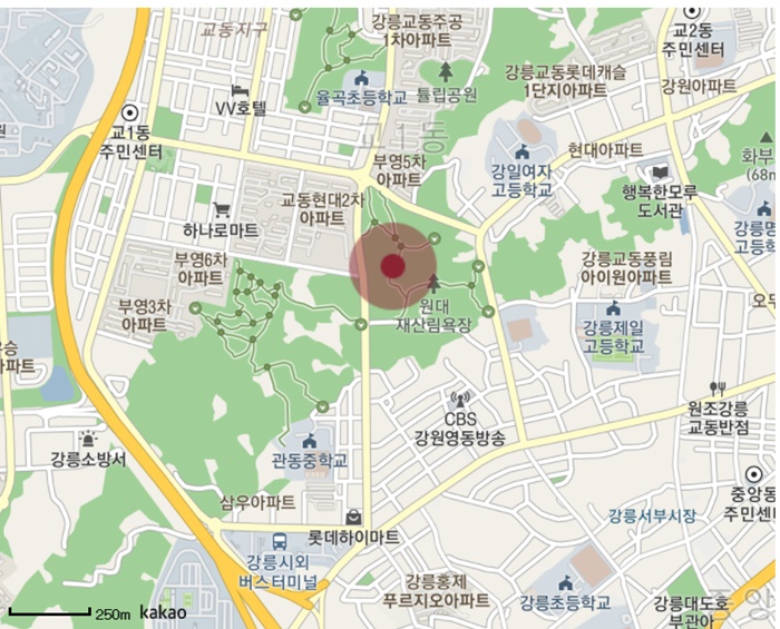  강원도 '강릉 롯데캐슬 시그니처' 분양정보 및 분양가