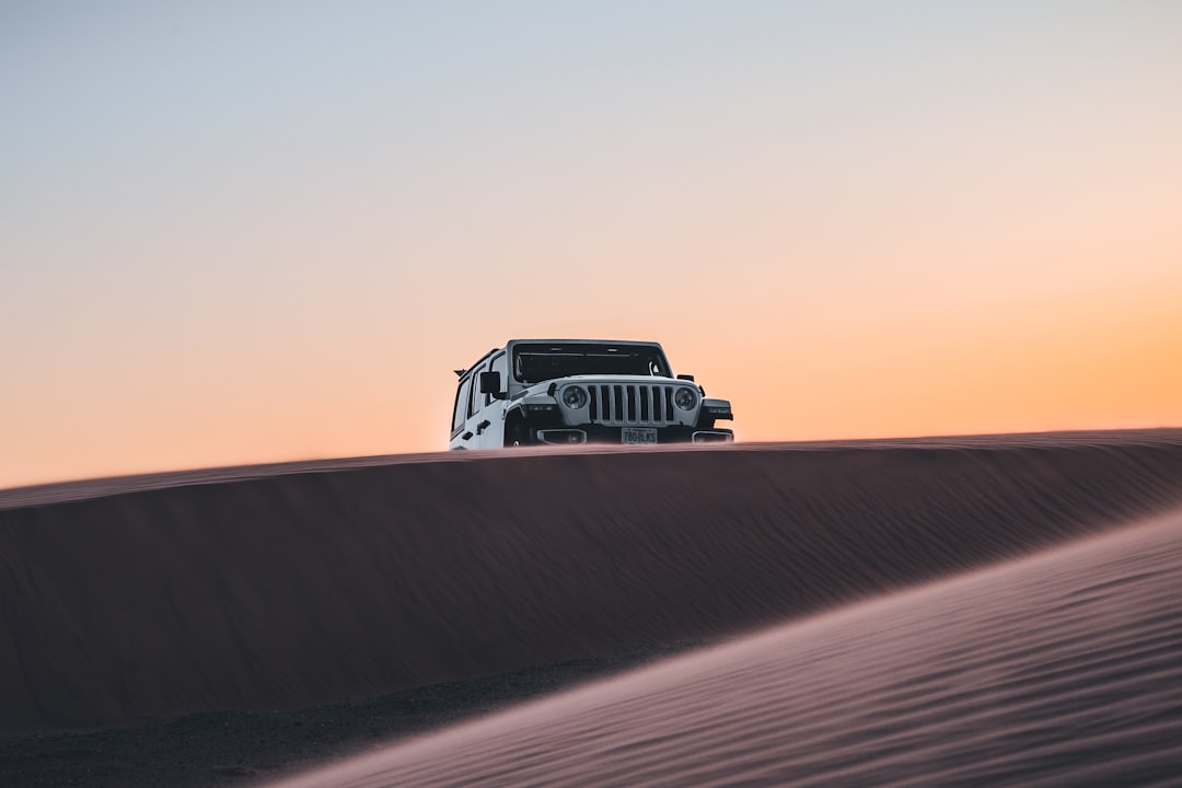 Wrangler
