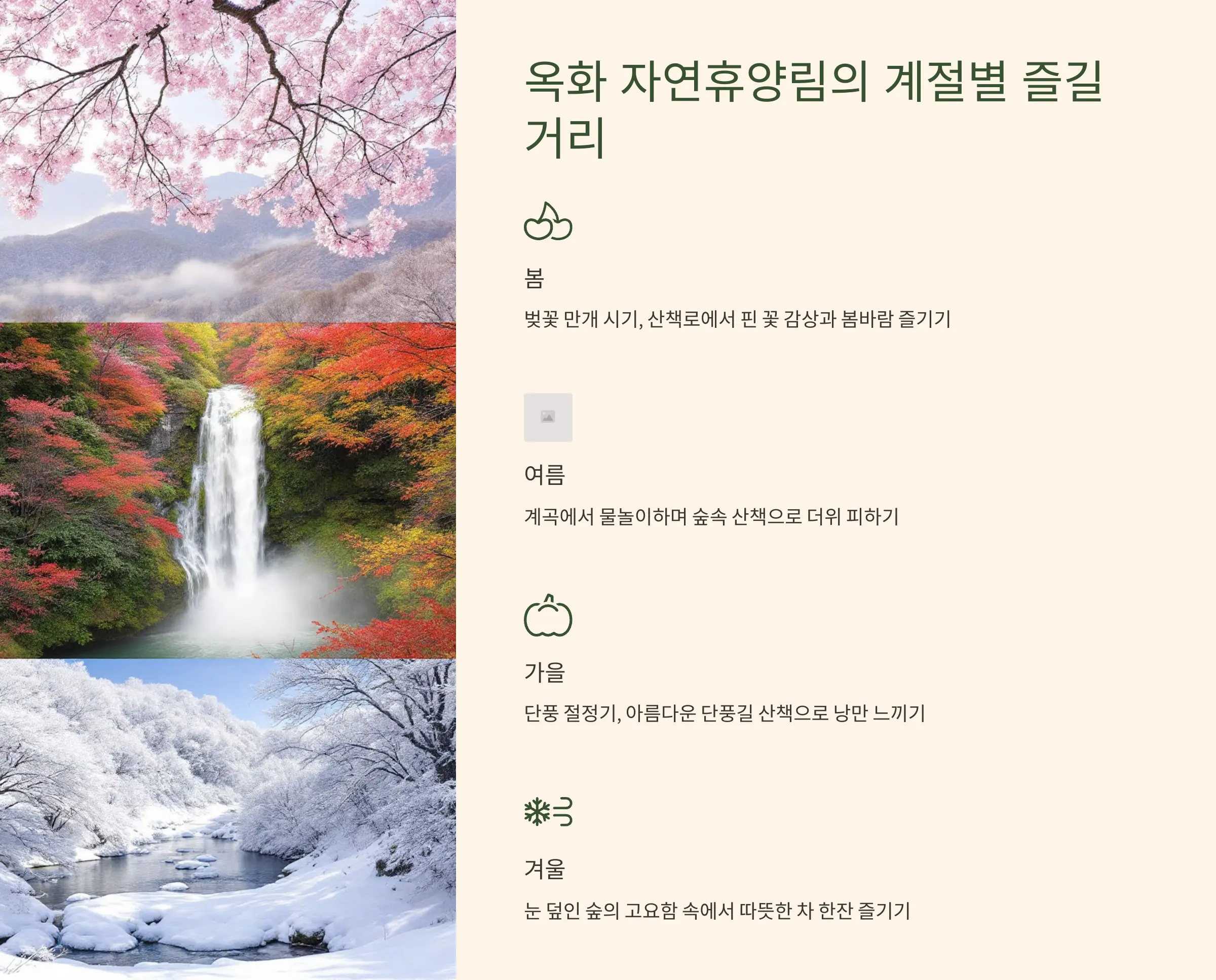 옥화 자연휴양림 사계