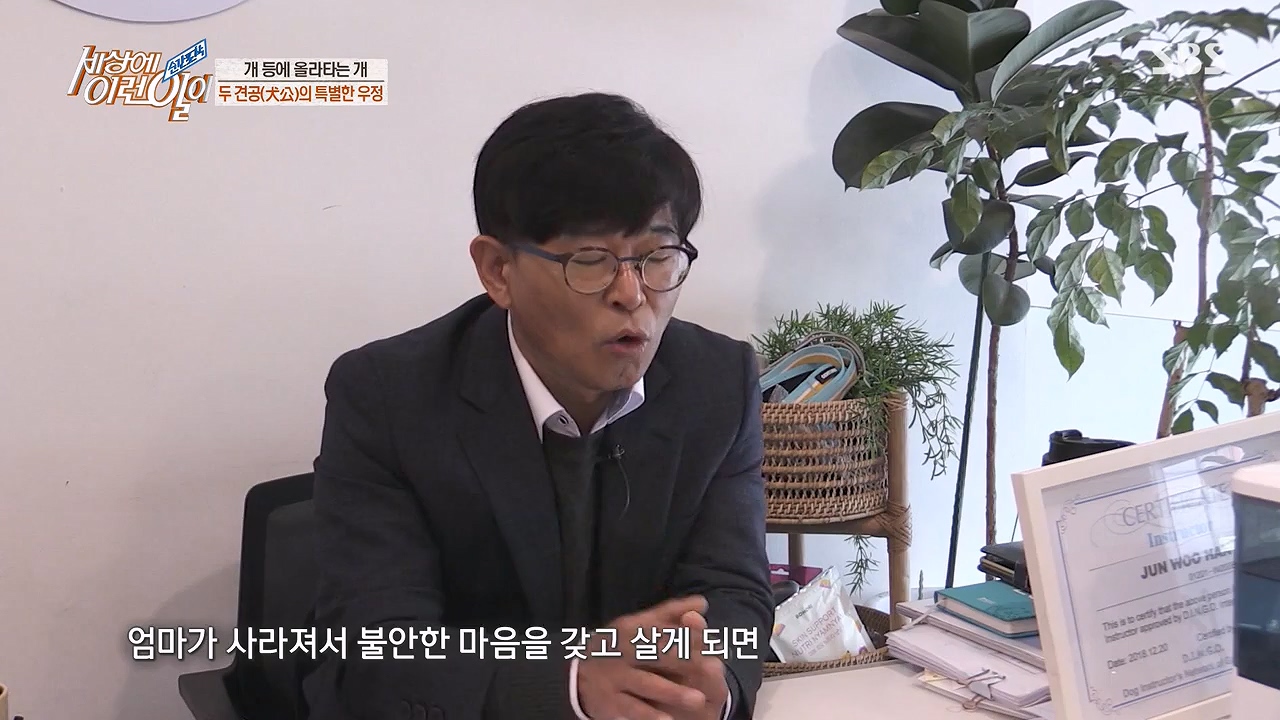 순간포착 세상에 이런일이.E1228p-NEXT.mp4_20230503_200107.521.jpg