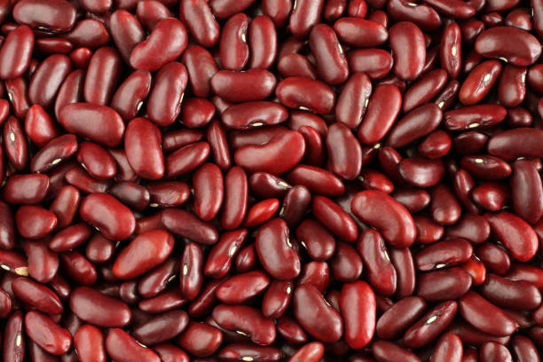 팥 효능 10가지 부작용 보관법 7