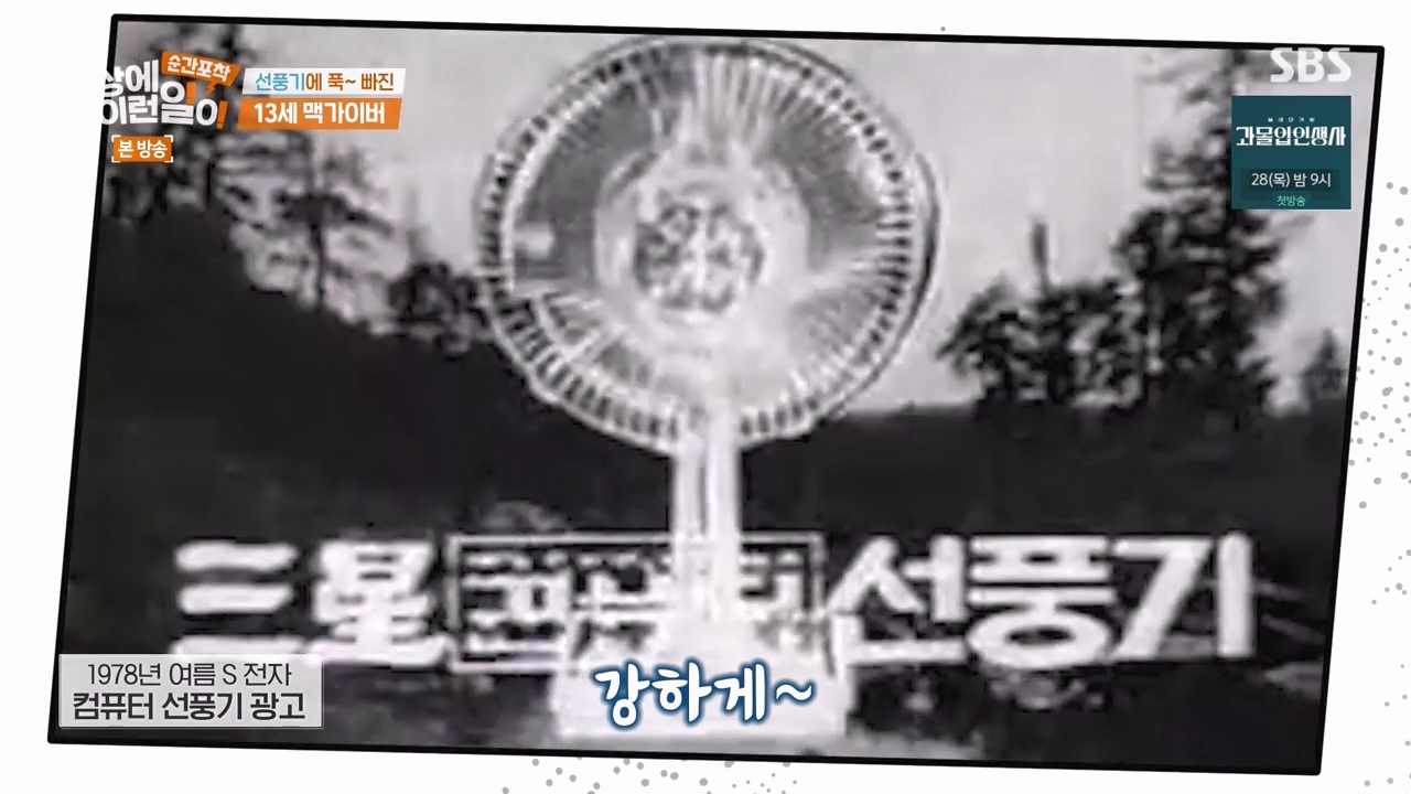 순간포착 세상에 이런일이.E1256.231217p-NEXT.mp4_20231217_172016.998.jpg