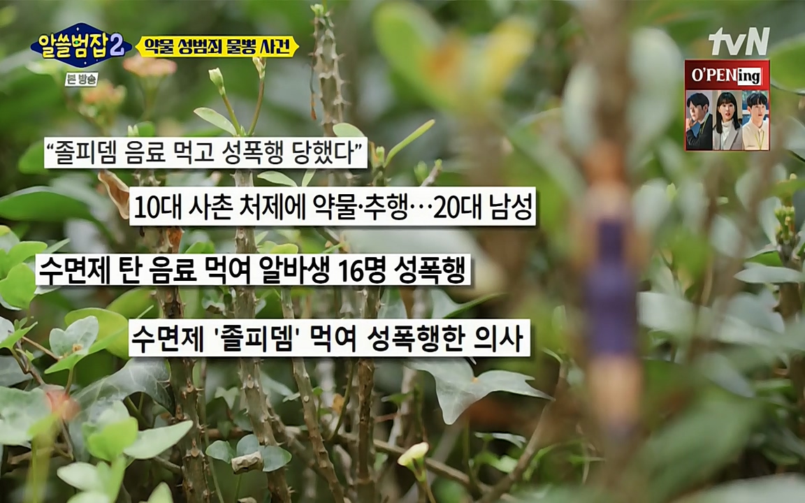 알쓸범잡 2.E15.220425p-NEXT.mp4_20220425_192146.684.jpg