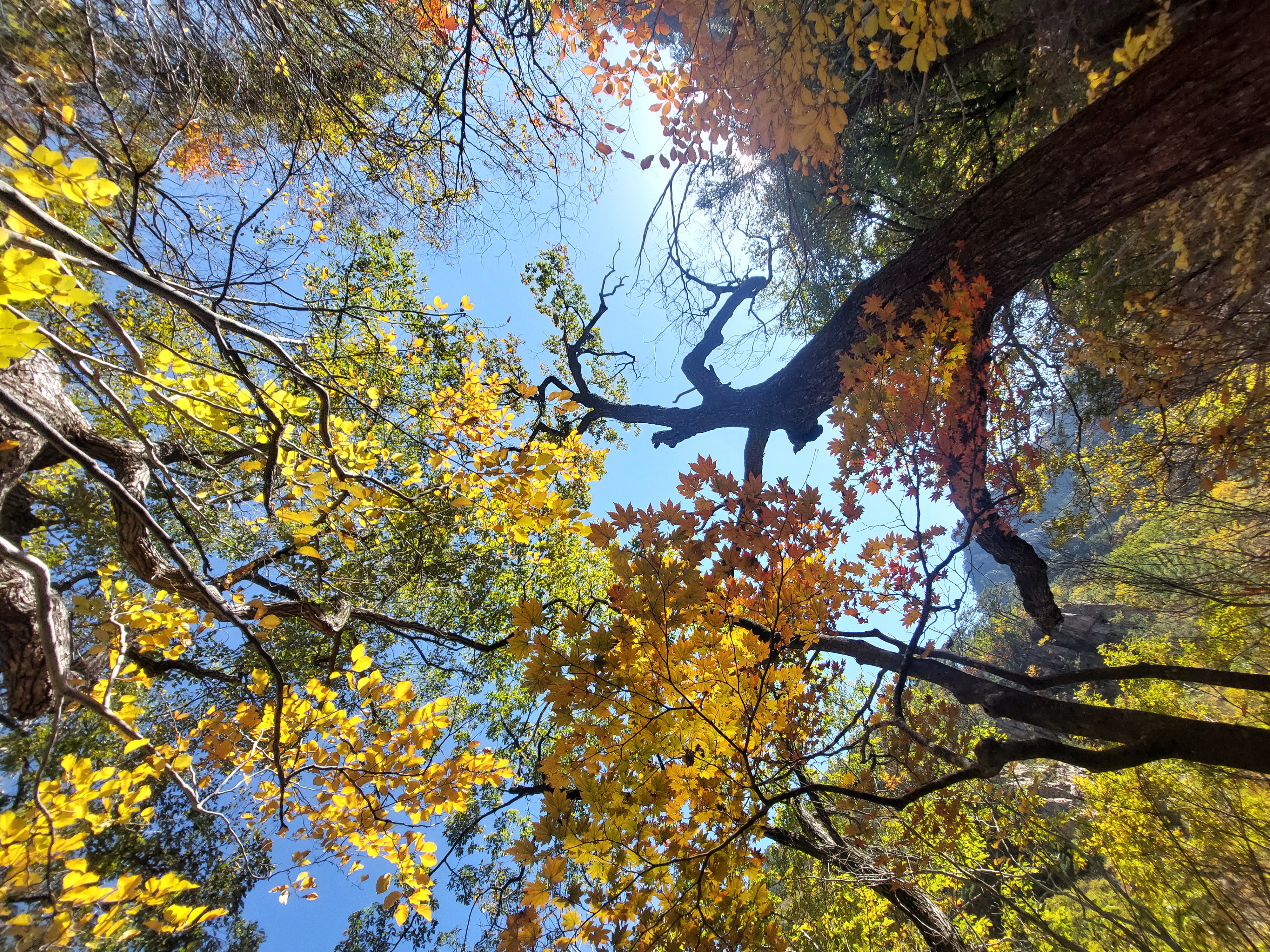 설악산