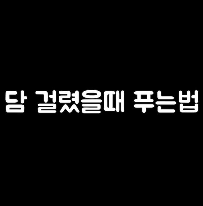 담에 걸렸을때 푸는법
