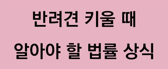 반려견 법률상식