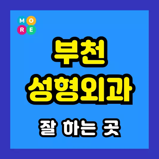 부천 성형외과 잘 하고 유명한 곳 추천 TOP 3 코끝연골묶기, 눈밑지방재배치, 안와상융기