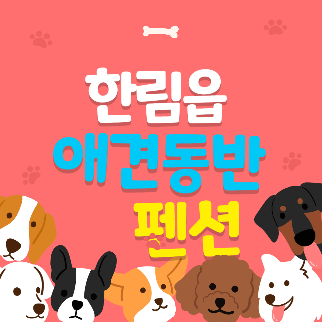  제주도 한림읍 애견동반 펜션 정리