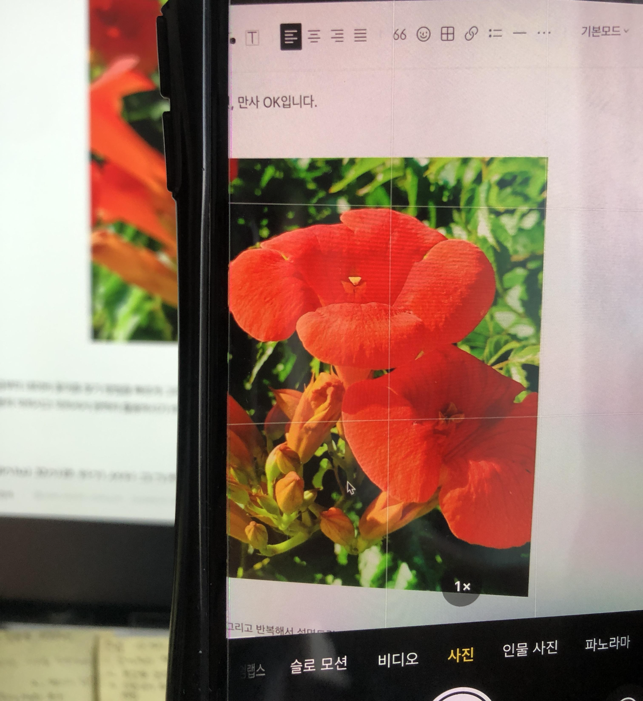 모니터에 있는 꽃이름을 알고 싶어서 스마트폰의 네이버 앱을 실행하여 찍는 사진