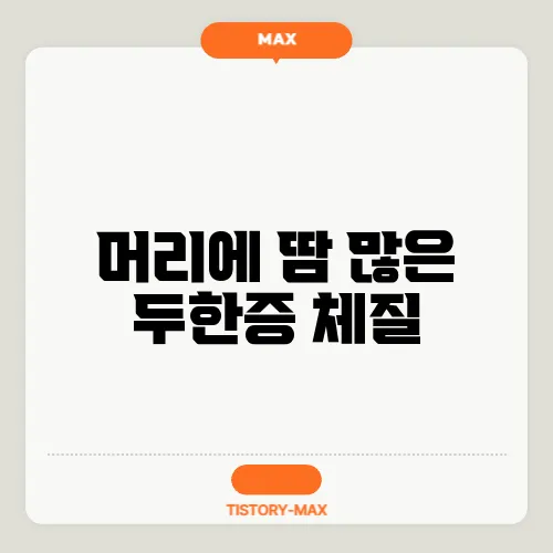 머리에 땀 많은 두한증 체질