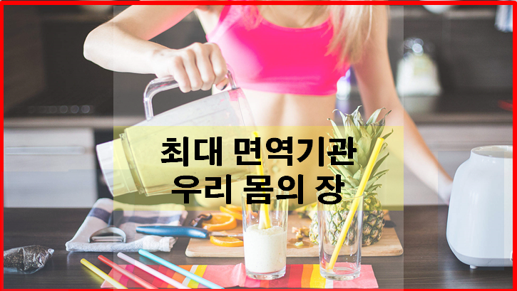  최대 면역기관 우리 몸의 장