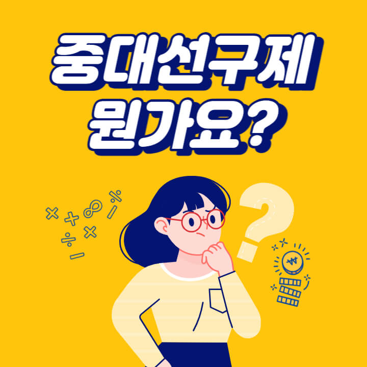  중대선거구제란, 선거구제란