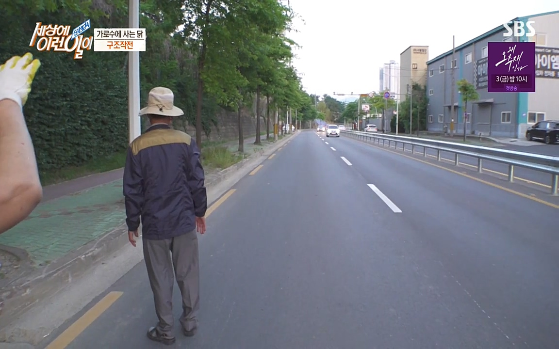 순간포착 세상에 이런일이.E1182.220532p-NEXT.mp4_20220601_173146.995.jpg