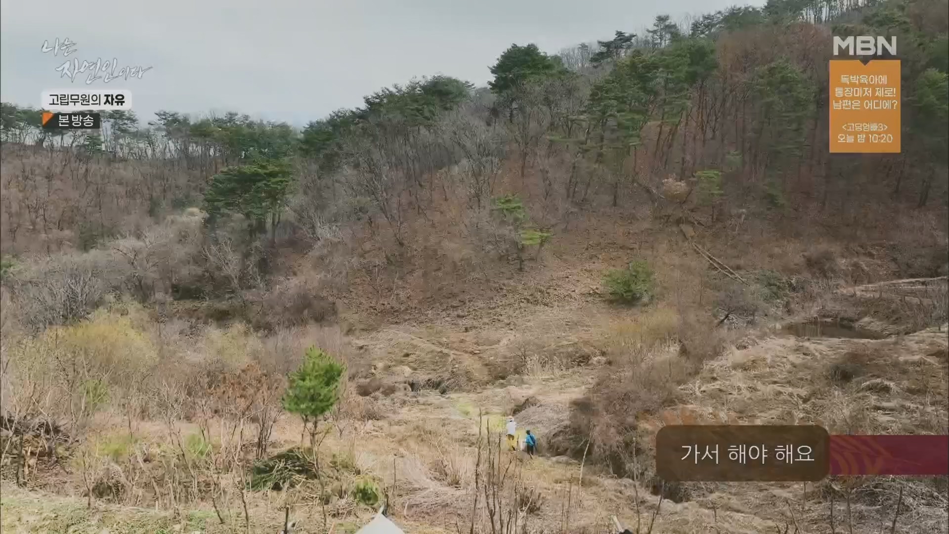 나는 자연인이다.E549.230412p.H264-F1RST.mp4_20230413_213208.354.jpg