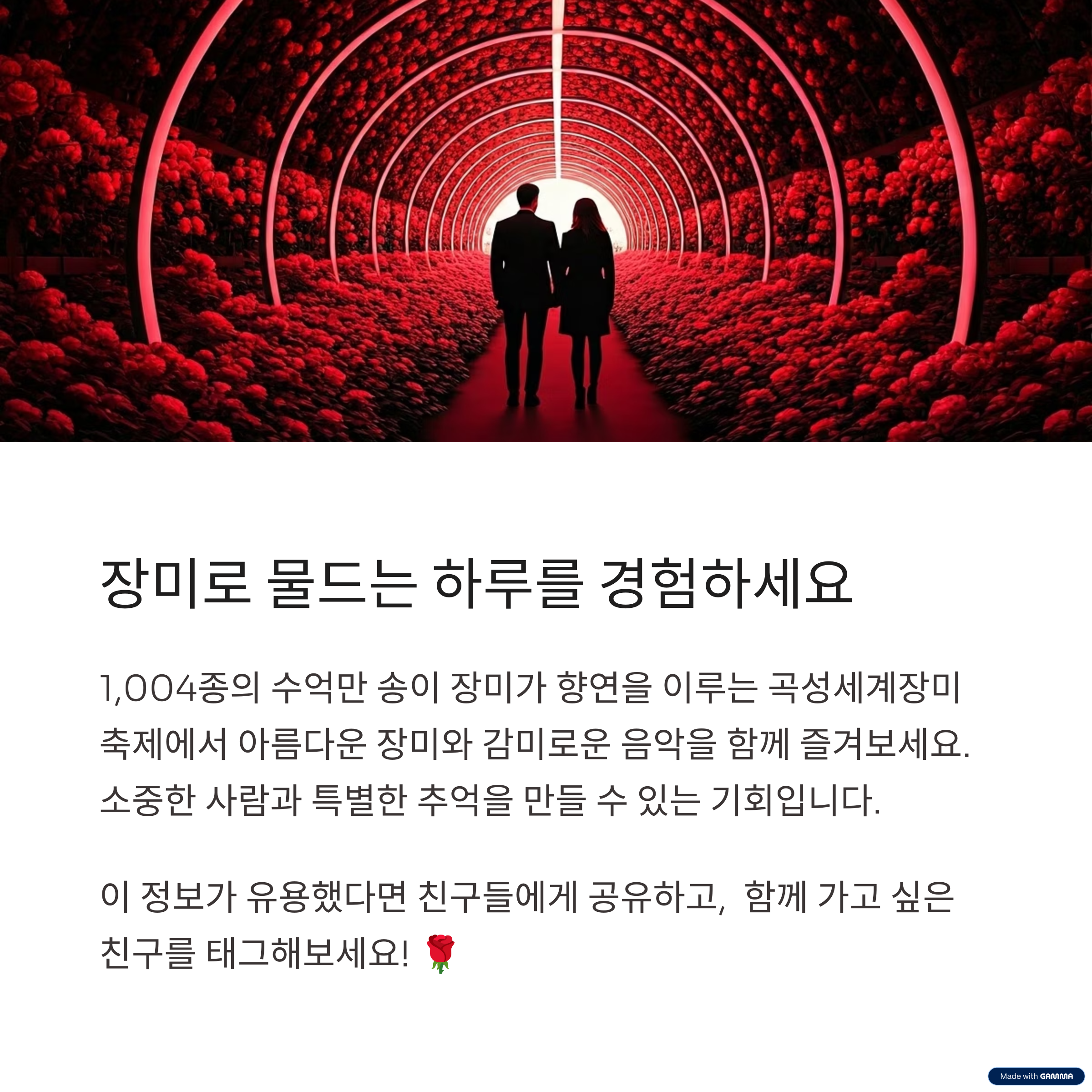 2025 곡성장미축제 올데이콘서트 총정리! 시간 및 라인업 안내