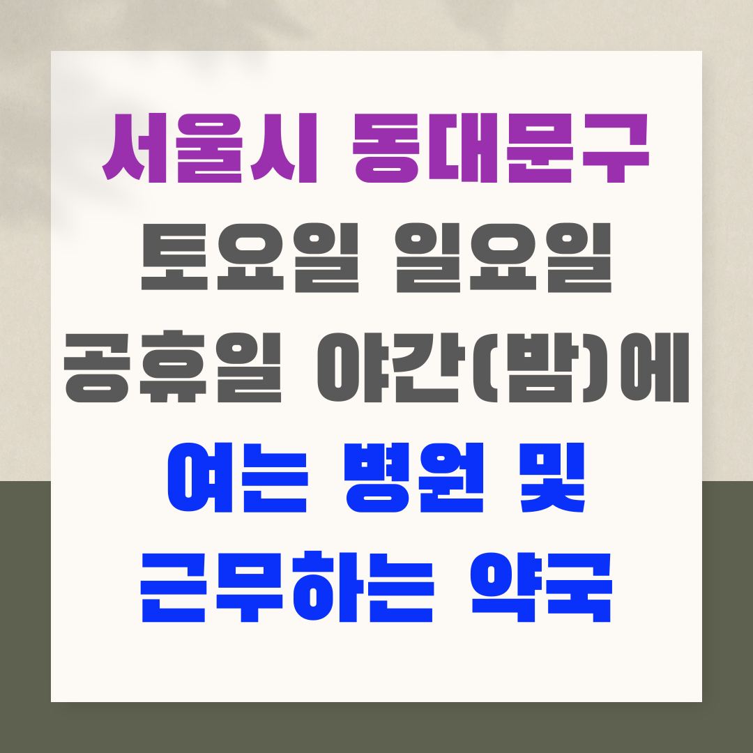 서울시 동대문구 토요일 일요일 공휴일 야간(밤)에 여는 병원 및 근무하는 약국