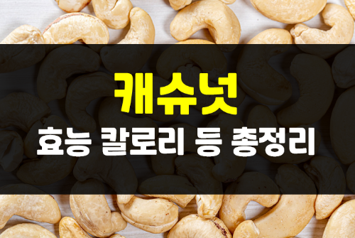  캐슈넛 효능 칼로리와 부작용 등 총정리