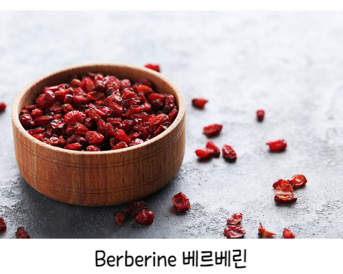  당뇨에 좋다는 베르베린 미국영양제소개