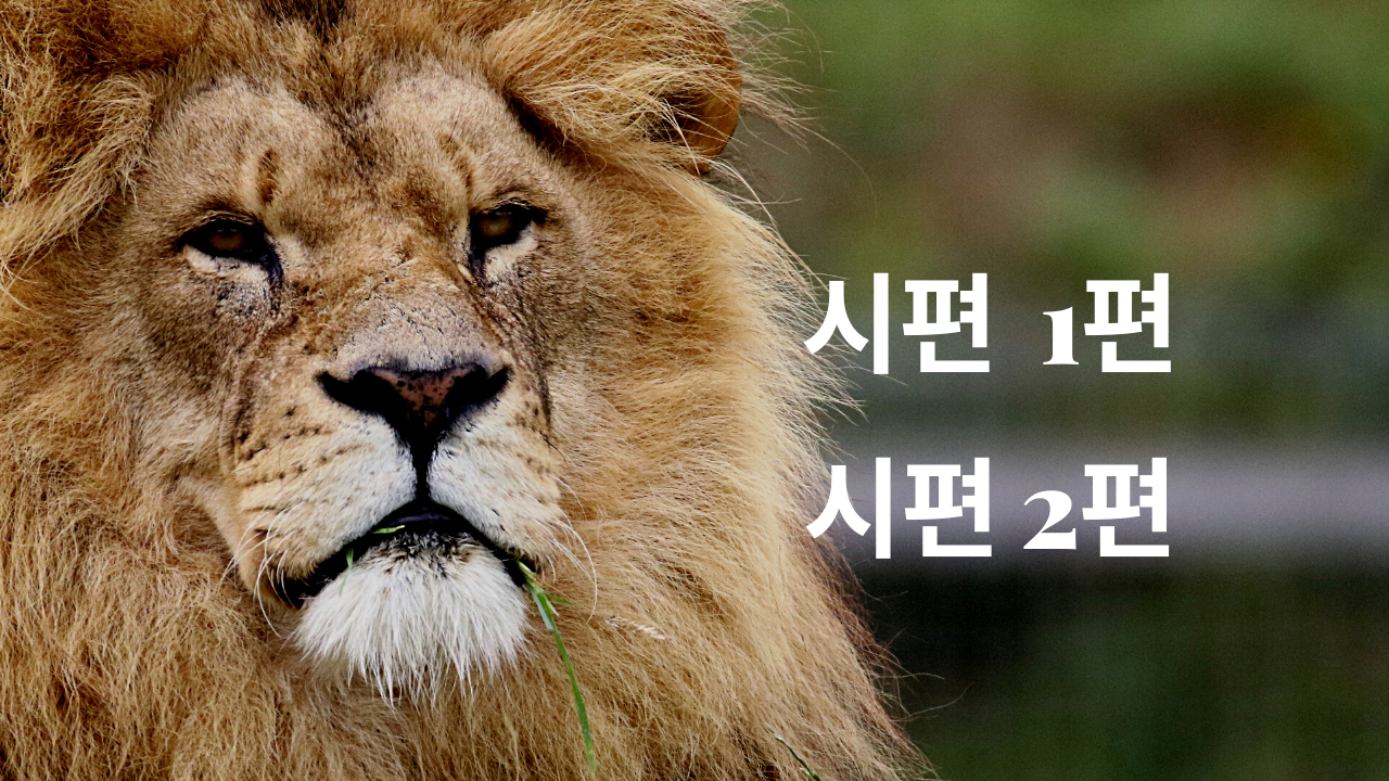  시편1편, 시편2편 (ft.성경 시편 필사 및 성서해설)