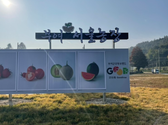 부여서울1호 팜스테이