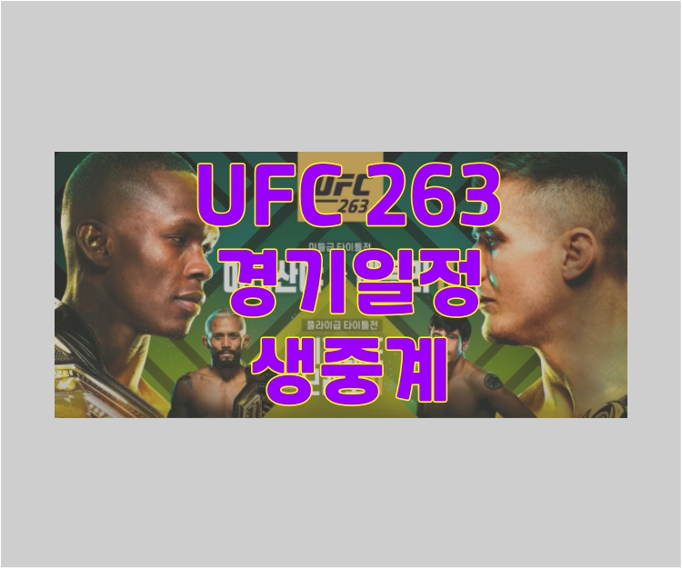 UFC 263 경기일정 및 아데산야 경기시간