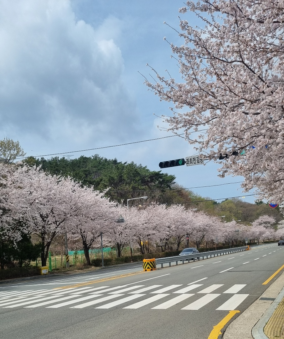 라잌바잌 이미지