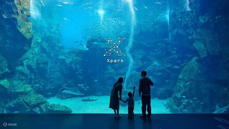 대만 X파크 수족관 입장권 예약 할인 타오위안