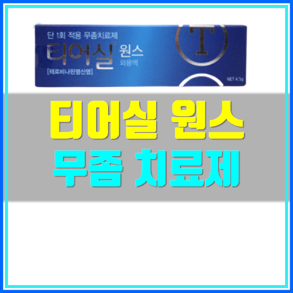 티어실 원스 가격 사용법