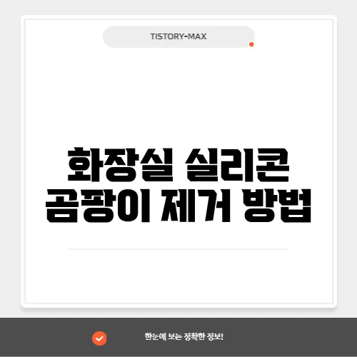 화장실 실리콘 곰팡이 제거 방법