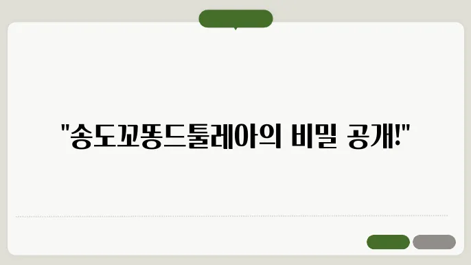 송도꼬똥드툴레아분양 알아봅니다