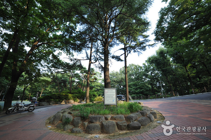 광주 해돋이 명소&amp;#44; 사직공원 정보 / 사진 = 대한민국 구석구석 [한국관광공사]